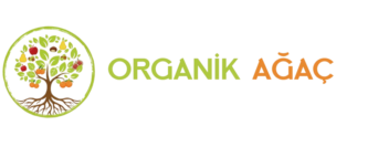 organik agac 1 s